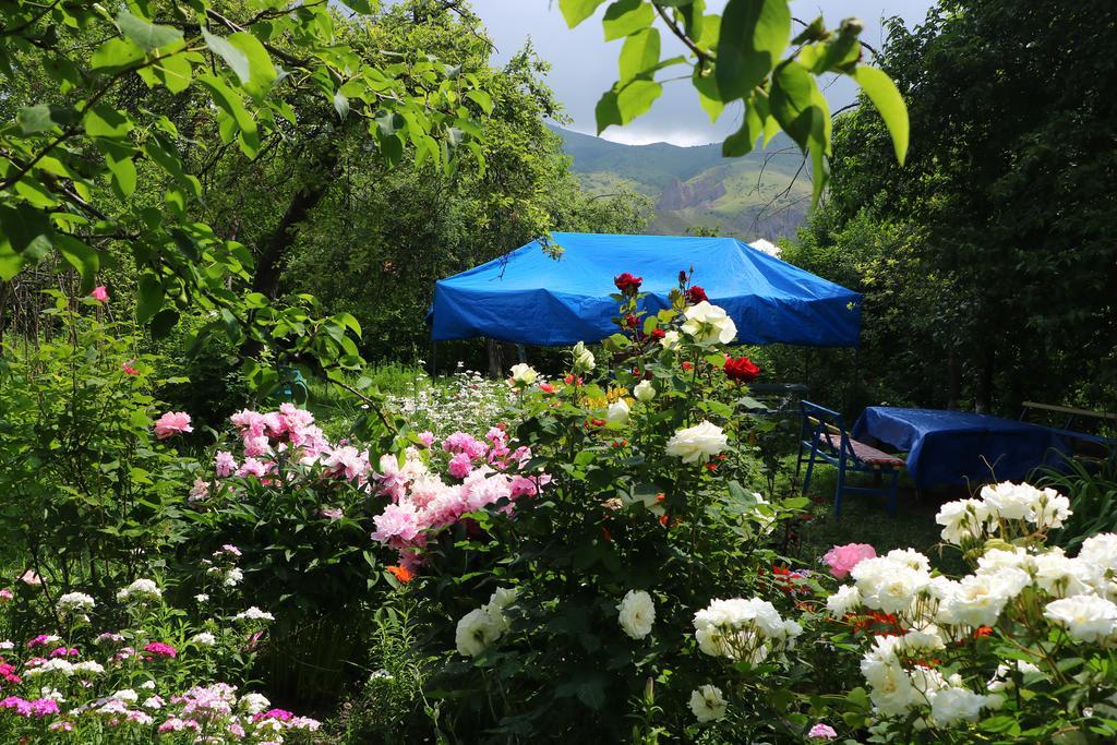 Hotel Mira Goris Esterno foto