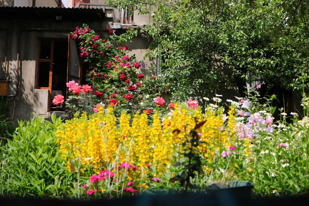Hotel Mira Goris Esterno foto